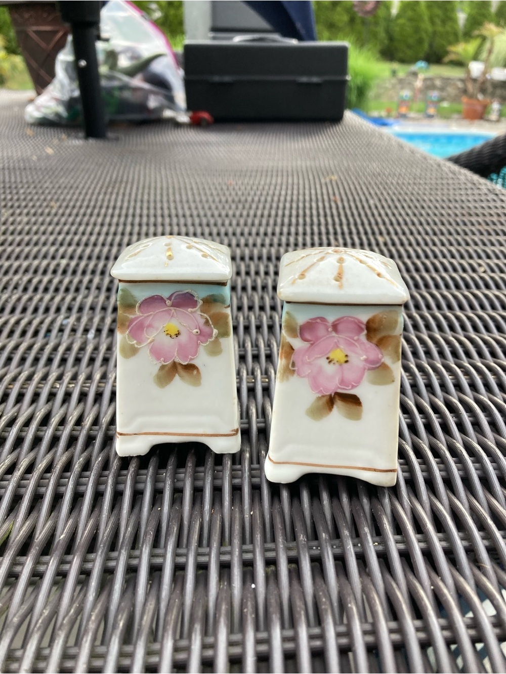 Vintage Japan hand painted salt & pepper shakers